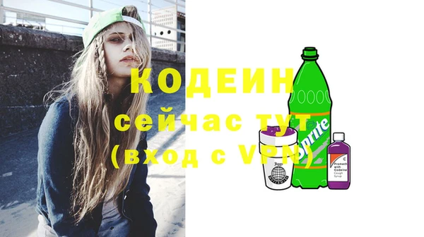 крисы Бородино