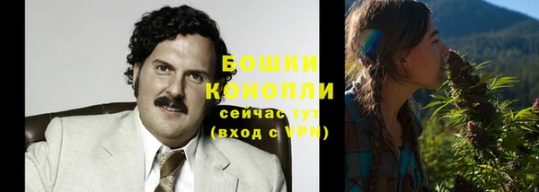 шишки Бугульма