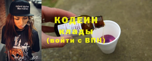 крисы Бородино