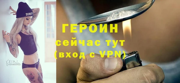 крисы Бородино