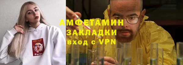 крисы Бородино
