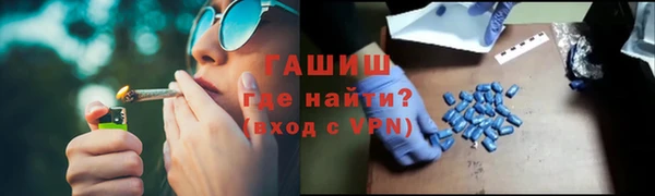 крисы Бородино