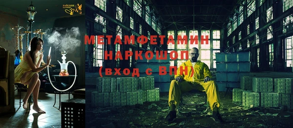 крисы Бородино
