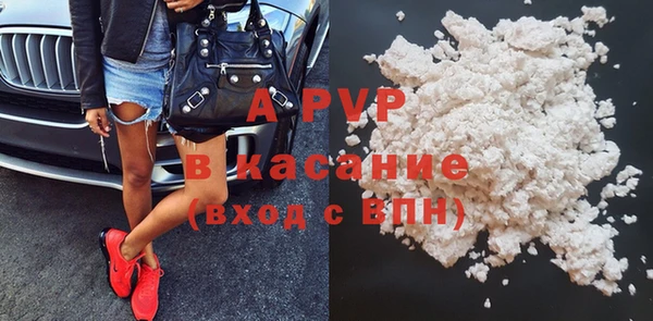 крисы Бородино