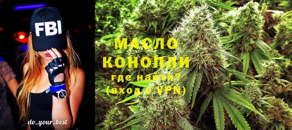 крисы Бородино