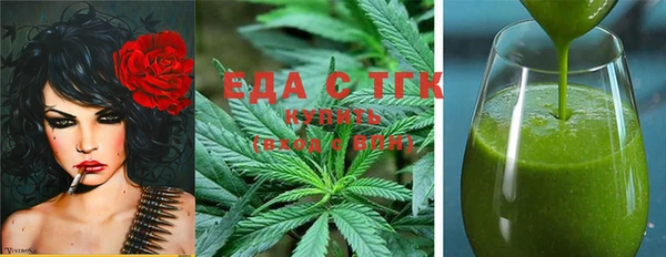 крисы Бородино