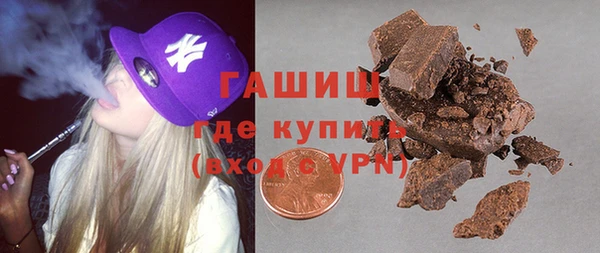 крисы Бородино
