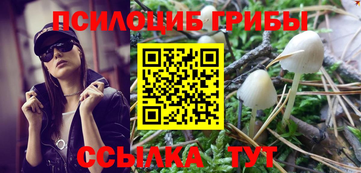 Галлюциногенные грибы Psilocybine cubensis Светлоград