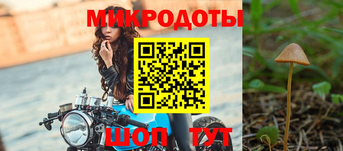 Светлоград  Псилоцибиновые грибы Cubensis  Вход с VPN  Псилоцибиновые грибы Cubensis 