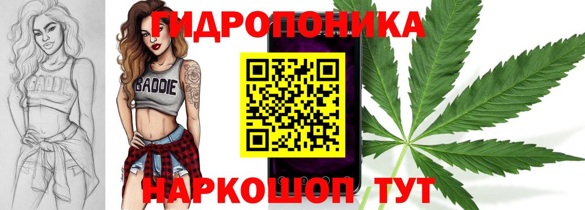 Канабис сатива Светлоград